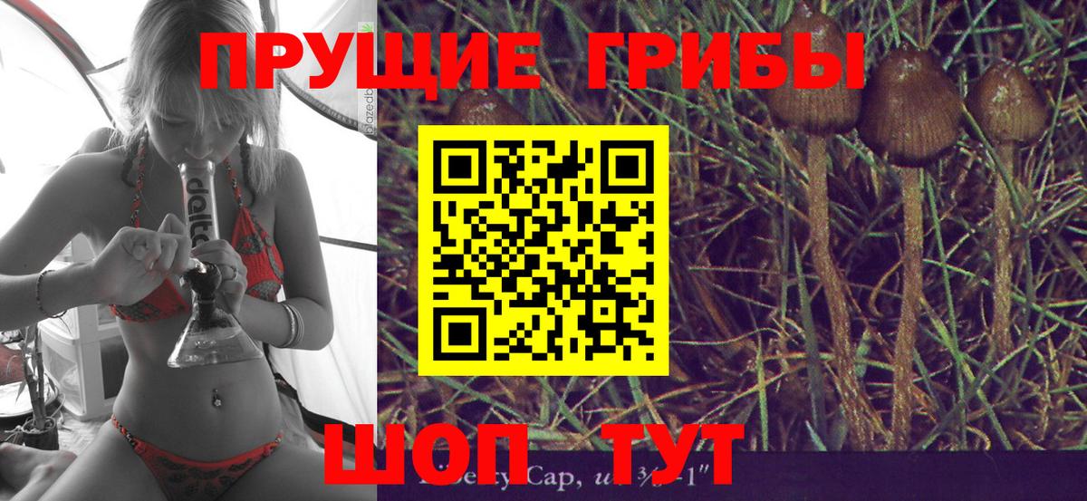 Галлюциногенные грибы Cubensis Южноуральск